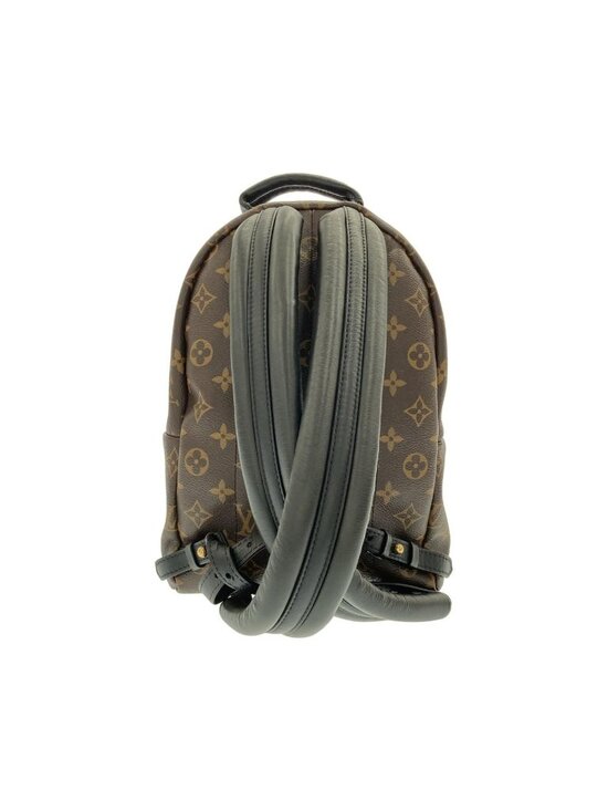 Louis Vuitton Monogram Palm Springs Backpack PM main image 8